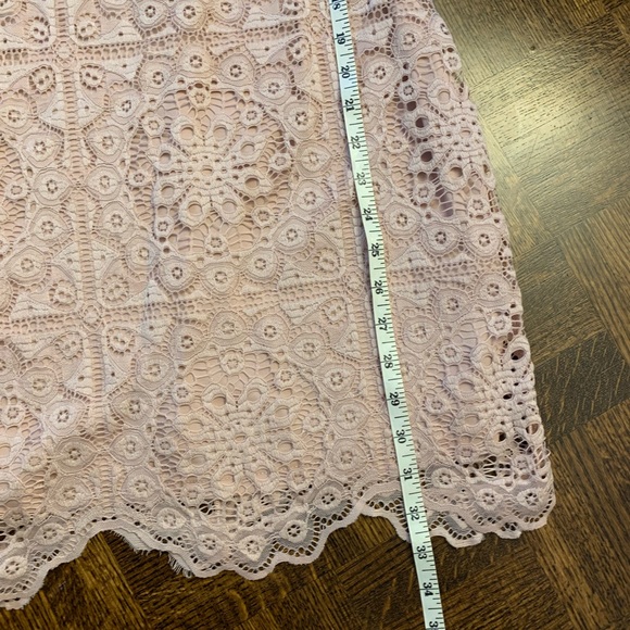 NWT Jack by BB Dakota pink lace dress. Size XS - Picture 14 of 16